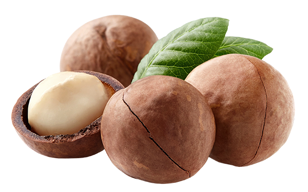 macadamias
